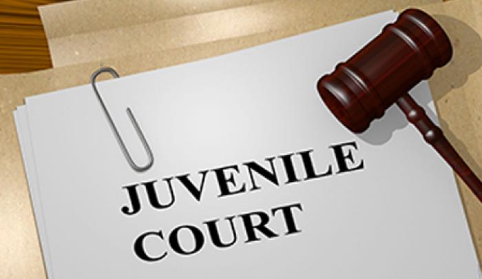 Juvenile Offenders